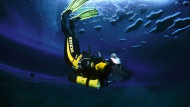 Cinco italianos mueren en un accidente de buceo Cinco italianos mueren en un accidente de buceo